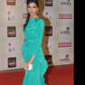 Celebs at 18th Annual Colors Screen Awards